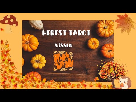 HERFST TAROT VISSEN   Wie is er trouw aan Vissen?