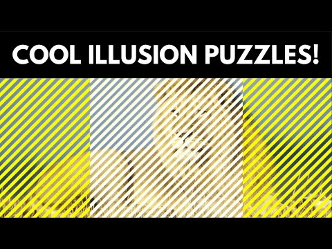 Awesome Eye Test - Guessing Animals Puzzle!