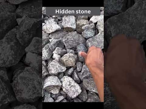 Hidden stone #shorts #toy #hilariousmoments #awkward #funnyvideo #viralvideo #doyoulikeit #funny