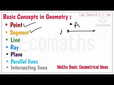 Basic concepts of geometry // Mathematics // concepts #math @ecomaths