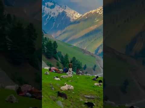 Qari Ahsan Mohsin naat #naat #nature #mountains