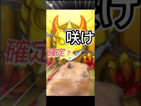 今年初ガチャ結果が...#モンスト #ポケポケ #チャンネル登録よろしくお願いします