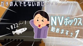 【めだか】室内でNVボックス飼育はじめますPart1【前編】