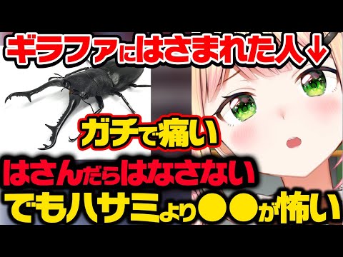 最強のノコギリクワガタであるギラファノコギリクワガタにはさまれたねねちの感想と警告【ホロライブ 切り抜き/桃鈴ねね】