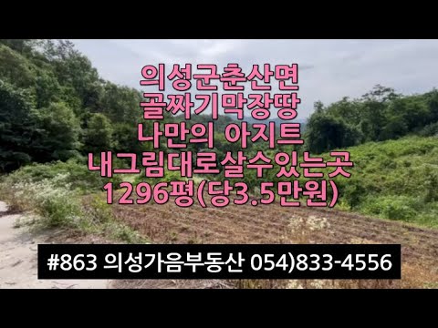 #863 의성가음부동산 산중턱 300m 고지대 막장땅 넓은평원 채전밭 묵은밭 1296평 4500만 (당3.5만) 포장도로0 전기가능 산약초 염소사육 양봉 자연인적합 #의성땅#자연인