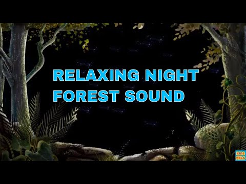 Night time Forest Sounds| Forest at night|Gentle cricket sound for relaxation|Yoga|Meditation