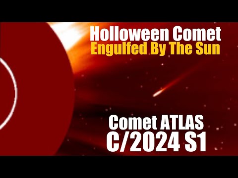 Halloween Comet ATLAS (C/2024 S1) Swallowed By The Sun