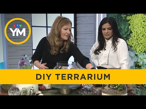 How to Make Your Own Terrarium | Your Morning