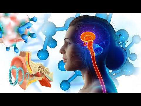 Alpha Waves Heal The Whole Body While You Sleep, LET GO of Stress, Overthinking & Worries #2