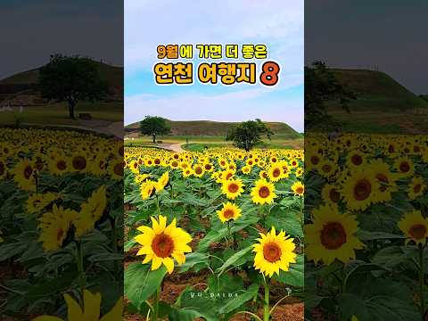 9월에 가면 더 좋은 연천 여행지 | 연천여행,연천가볼만한곳,호로고루,재인폭포 #연천여행 #호로고루 #재인폭포#shorts #가을여행지 #9월여행지 #국내여행지추천