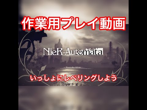 《作業用》あなたのレベリングのお供します