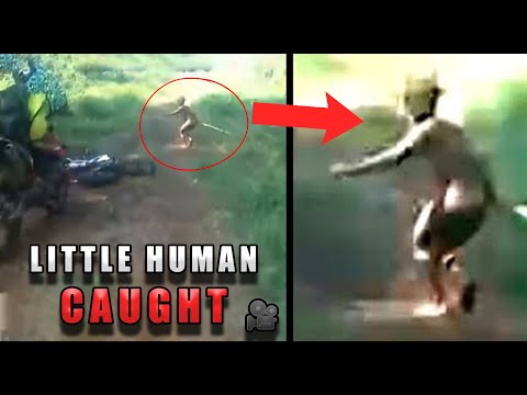 🌙Hairy Little Person CAUGHT on tape / Orang Pendek / Cryptids Unveiled