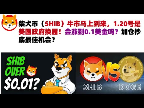 柴犬币（SHIB）牛市马上到来，1.20号是美国政府换届！会涨到0.1美金吗？加仓抄底最佳机会？#shib币#柴犬币#屎币行情分析！