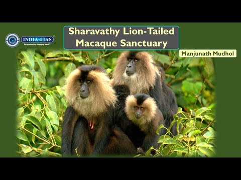 Sharavathy’s Lion-Tailed Macaque: Habitat, Threats & Conservation | UPSC | #india4ias