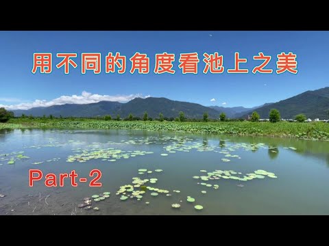 用不同的角度看池上之美 -大坡池 -池上豆之間 -大池豆皮店   Part-2