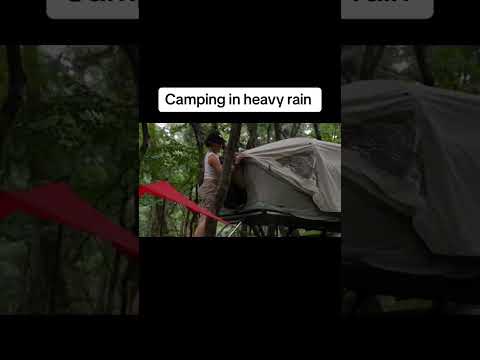 Camping in heavy rain and forest #tent #camp #tiktok #summer #hot #camper #carcamping #california #c