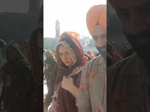 Actress Mandy Thakar paid obeisance at #goldentemple #alertnews_hd #latestpunjabnews #punjabnews