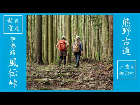 【Exploring Japan】Travel Rural Japan Ep03 | Mihama Blue | Rural Japan | Travel in Japan