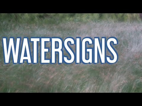 WATERSIGNS- Tough karmic lessons you are learning.