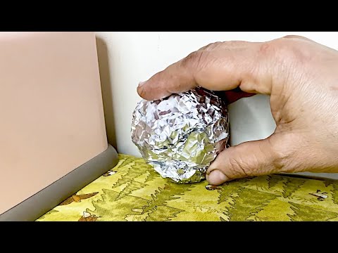 Put aluminum foil around the house and be surprised by the result!