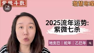 2025流年运势:紫微七杀｜蛇年运势｜乙巳年