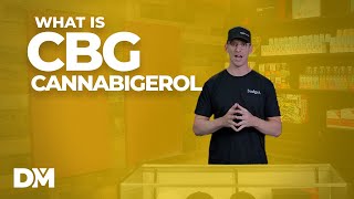 What Is CBG? How is it Made and the Potential Benefits - DistroMike