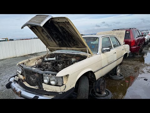 1977 Mercedes-Benz W116 at Junkyard