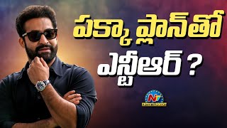 NTR Upcoming Movies Updates..! | #NTRNEEL | Devara | WAR 2 | NTV ENT