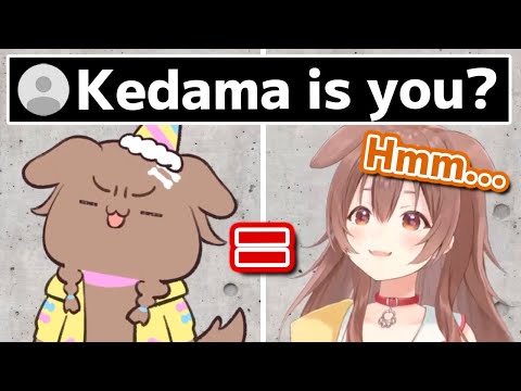 Kedama and Korone are actually the same people or not?【Hololive】