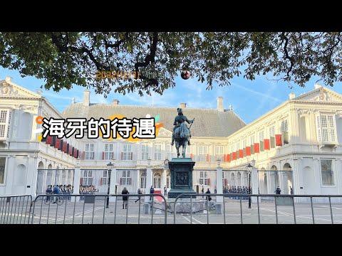 随手拍35-我离荷兰国王最近的一刻 海牙的特殊待遇 Noordeinde Palace 诺代恩德宫 国王接见外国大使 | 胖仔的日记本 Pangzai's diary 20221231