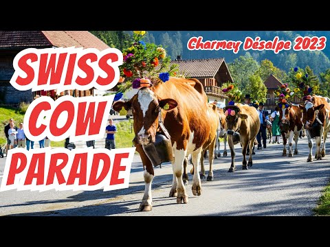 SWISS COW PARADE | POV experience at the 2023 Désalpe in Charmey, Switzerland | Swiss Culture