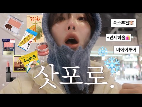 삿포로에 갈까요..?⛄️❄️ 꿈 같았던 3박4일 (feat. 인스타 현실...삿포로 하울🛍)