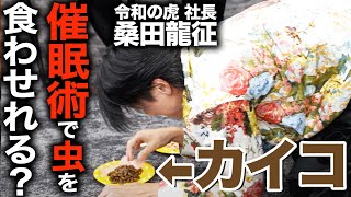 【神回】社長たちに催眠術かけたら腹筋崩壊したww【虎ベル】