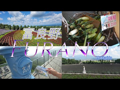 [北海道 Hokkaido 2023] 富良野FURANO & 美瑛町 BIEI 花海 Sea of flowers; 白色粟米, 白金青池, 日之出公園, 富田農場