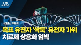 목표 유전자 '싹둑' 유전자 가위 치료제 상용화 임박...첫 치료제는? / YTN 사이언스