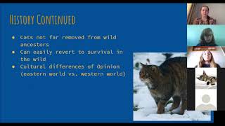 4H Cat Webinar