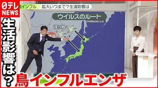 【鳥インフルエンザ】詳しく解説  なぜ流行？拡大いつまで？