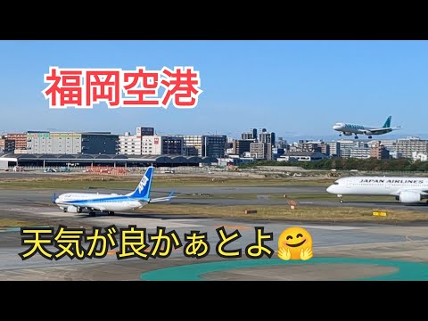 [Fukuoka Airport] The weather is nice😍23-8