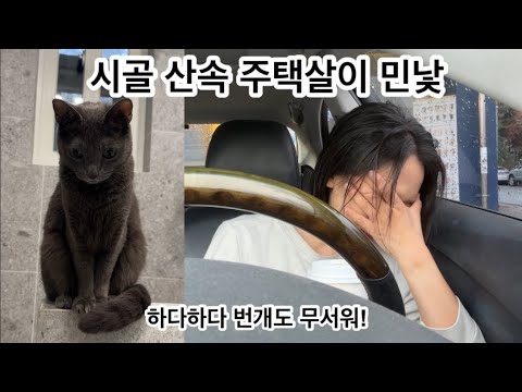 우리집 지하수 펌프는 이대로 괜찮을까?? / 시골 산속 주택살이의 민낯 / 김장김치 뿌시기 식단