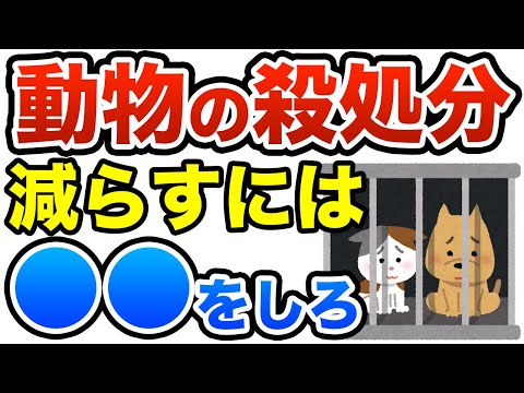 謎肉のペットフードを食べさせられている動物達の殺処分を無くすには！　ひろゆき切り抜き