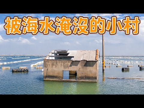 東石沿海的美麗與哀愁，白水湖壽島、水中古厝｜不一樣的風景 EP6