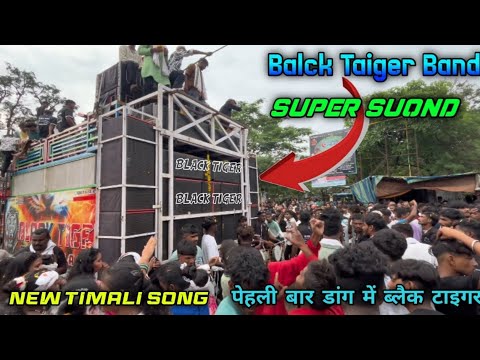 Black Taiger Band 🤯 || Super Suond 😱 क्या म्यूजिक बजाई है 🌟 New Timali Song 😱 2024 9 August #timali