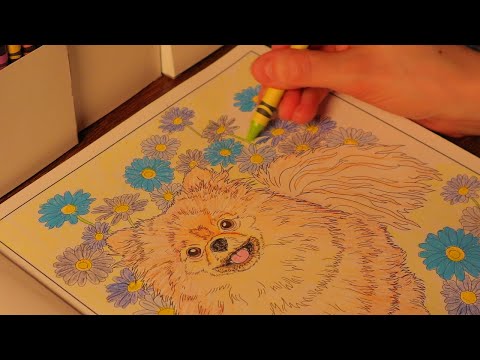 ASMR Crayons Coloring Cute Dogs / No Talking