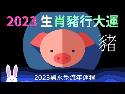 2023 生肖豬行大運 才華洋溢 走人氣運  十二生肖運程 屬豬的運勢 忙於群組 關懷旁人