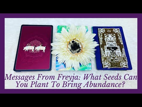 Messages From Freyja: What Seeds Can You Plant Now To Bring In Abundance ✨ Pick A Card Reading