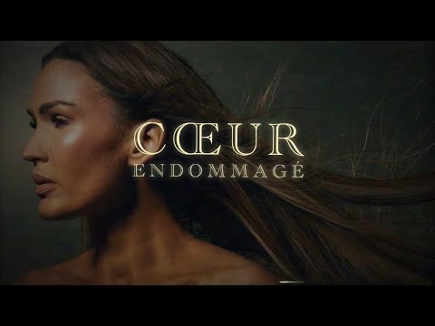 VITAA - Coeur endommagé (Lyrics Video)