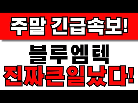 [블루엠텍 주가전망] 주주님들 필수시청! 앞으로 이렇게 대응하세요