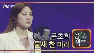 문초희 - 물새 한 마리 [아이넷TV 음색]