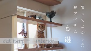 【cat item】猫と暮らすおすすめグッズ6選