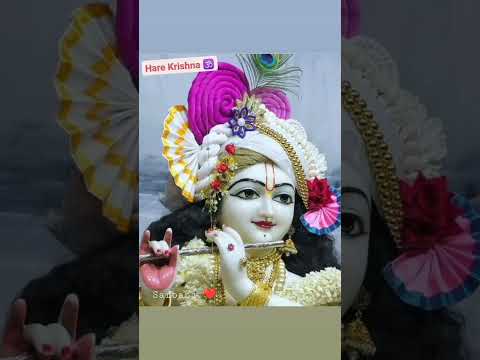 Hare Krishna ❤️🙏 #viral #god #devotional #krishna #subscribe #shorts @sarbani01